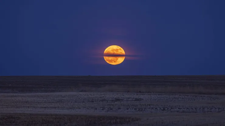 Luna de Fresa