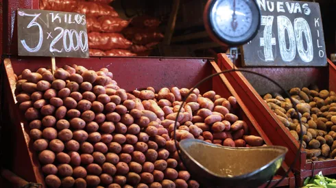 Las fuertes precipitaciones podrían provocar importantes alzas en el precio de la verdura.