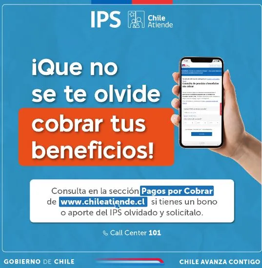 Foto: Chile Atiende.