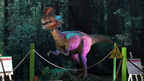Expo Dinosaurios