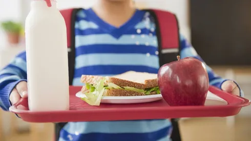 Alimentación escolar