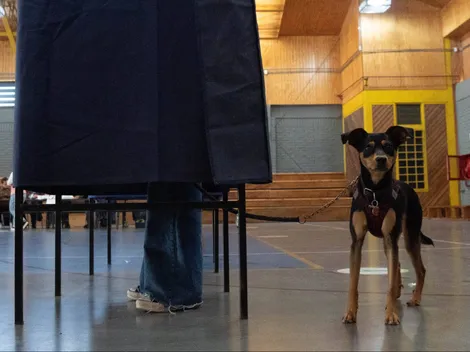 ¿Cómo saber dónde tengo que votar en las primarias?