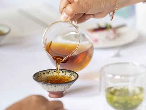 Reduce la ansiedad y el estrés: Beneficios de la L-teanina en el té