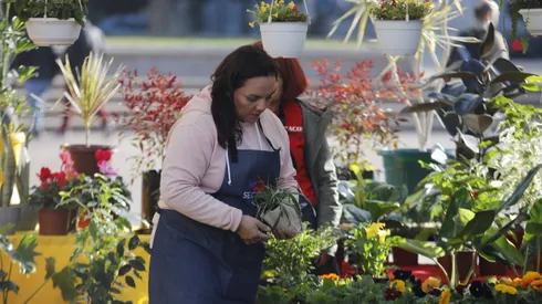 Conoce la fecha de pago de importante bono para mujeres.