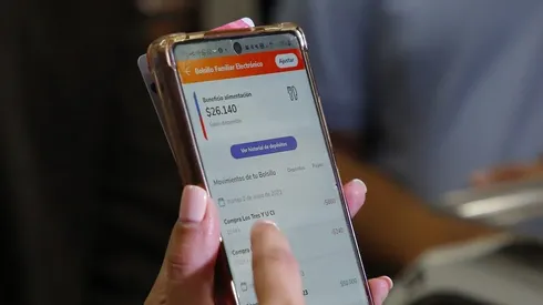 Bolsillo Familiar Electrónico