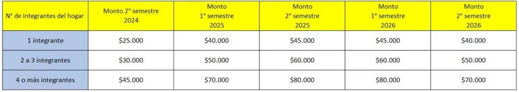 (Fuente: Ministerio de Energía)