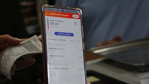 Bolsillo Familiar Electrónico