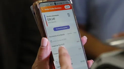 Bolsillo Familiar Electrónico