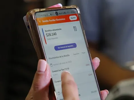 ¿Se cae el Bolsillo Familiar Electrónico de invierno?