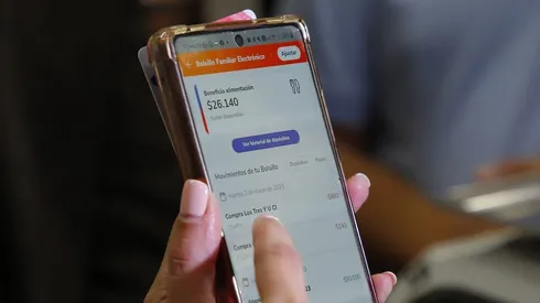 Bolsillo Familiar Electrónico