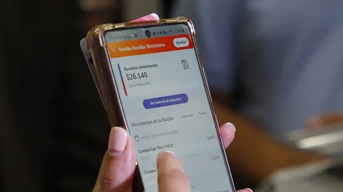 Bolsillo Familiar Electrónico