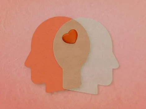 Mapa del cerebro: Descubren dónde se activa el amor romántico