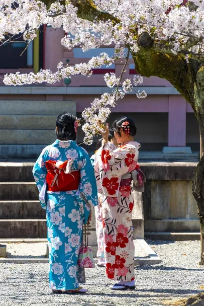 Mujeres japonesas con kimono en la Pagoda Amidado, el Templo Chion-in, Kyoto, Japón | Foto: Imago
