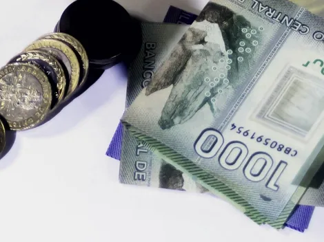 Requisitos y cómo postular al IMG