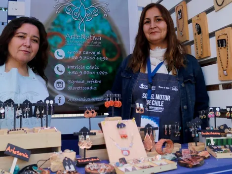 ¿Qué es el Capital Semilla y cuáles son sus requisitos?