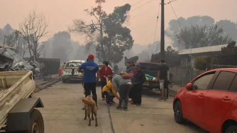 Pagos Bono de Recuperación