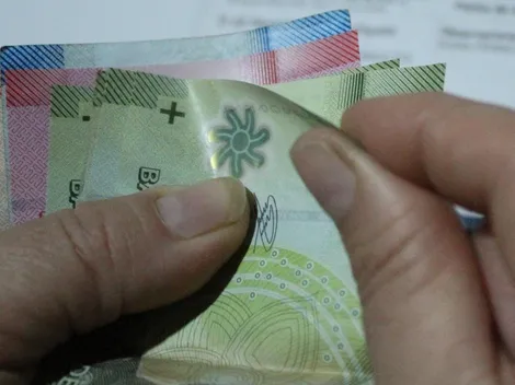 El importante dato del Bolsillo Electrónico Familiar