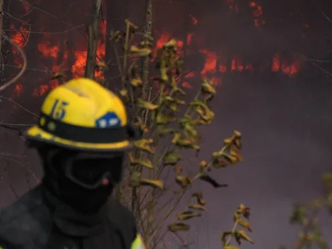 La polémica que envuelve al Gobierno por balance de incendios y la intencionalidad