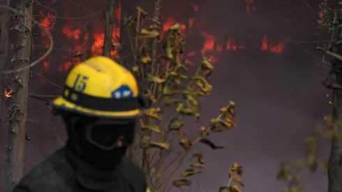 La polémica que envuelve al Gobierno por balance de incendios y la intencionalidad