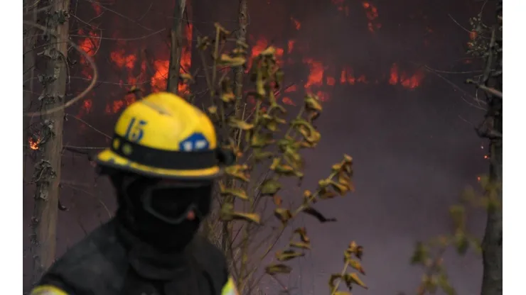 La polémica que envuelve al Gobierno por balance de incendios y la intencionalidad