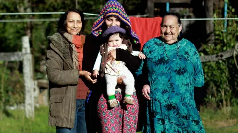 Motivos por los que no podrás optar al Subsidio Protege