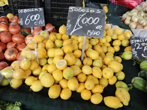 Requisitos del Bono Canasta Familiar