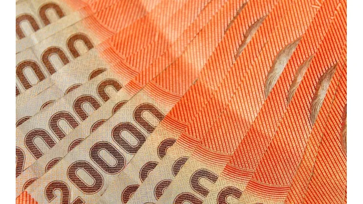 Requisitos para recibir el Bono Dueña de Casa