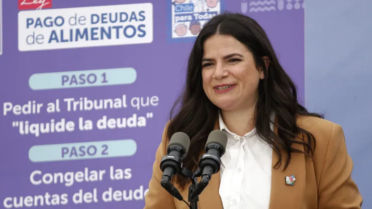 Ministra Antonia Orellana.
