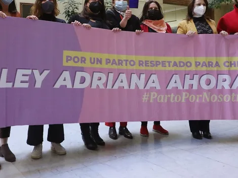¿De qué se trata la Ley Adriana y cuál es su objetivo?