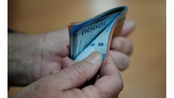 ¿Quiénes reciben el Ingreso Mínimo Garantizado?