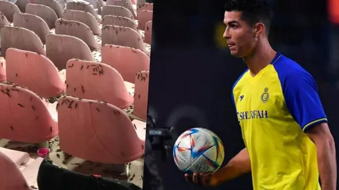 Invasión de langostas en el partido de Cristiano Ronaldo