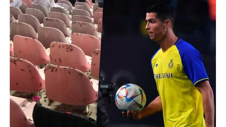 Invasión de langostas en el partido de Cristiano Ronaldo