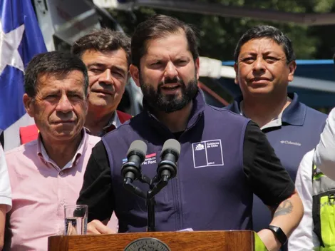 Boric se refiere a los culpables por los incendios forestales