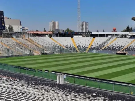 Festuca: el secreto de la nueva cancha del Monumental