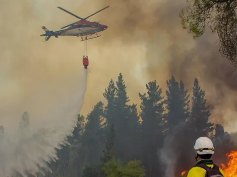 ¿Dónde hay incendios forestales?