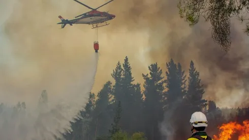 ¿Dónde hay incendios forestales?