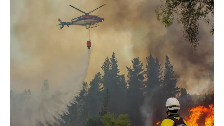 ¿Dónde hay incendios forestales?