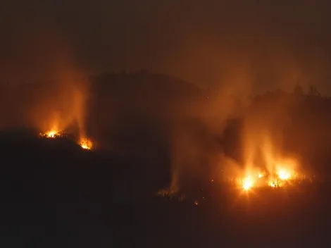 Estas son las penas por provocar incendios