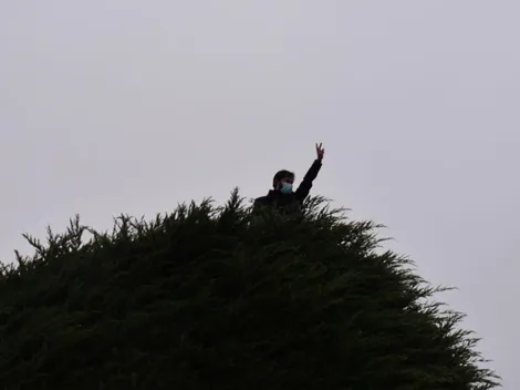 Intentan quemar árbol de la campaña de Boric