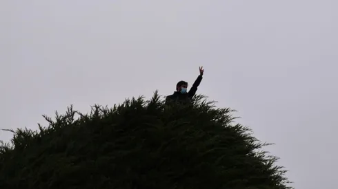 Intentan quemar árbol de la campaña de Boric