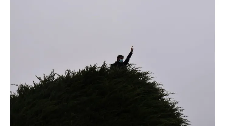 Intentan quemar árbol de la campaña de Boric