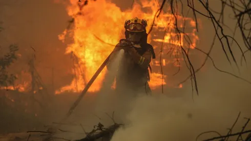 Gobierno denuncia a personas grabadas iniciando incendios