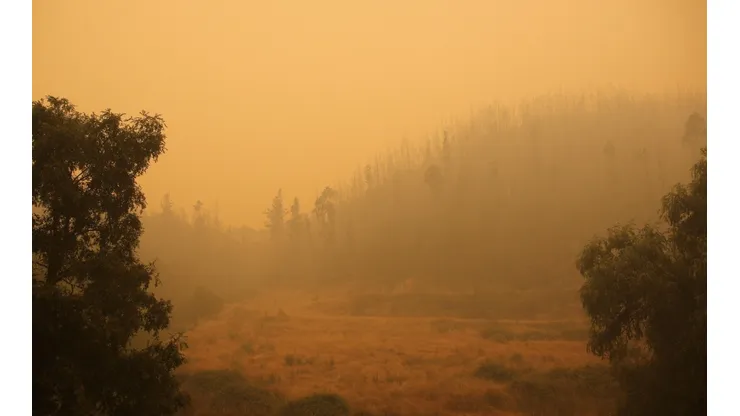 Incendios forestales
