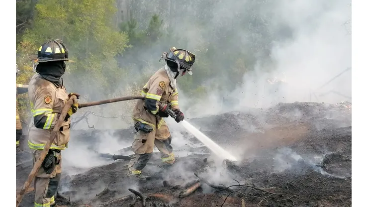 Bomberos trabajan en controlar focos en sector Portozuelo.