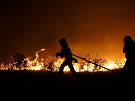 ¿Cuántos detenidos hay por los incendios?
