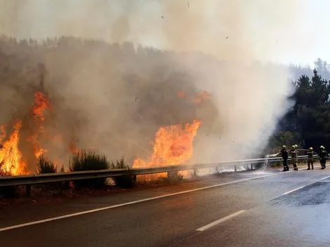 ¿Cuántos y dónde hay incendios forestales activos en Chile?