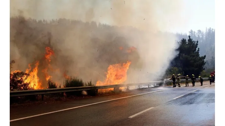 ¿Cuántos y dónde hay incendios forestales activos en Chile?