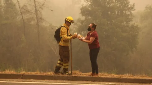 Indendios forestales en la región del Biobío.