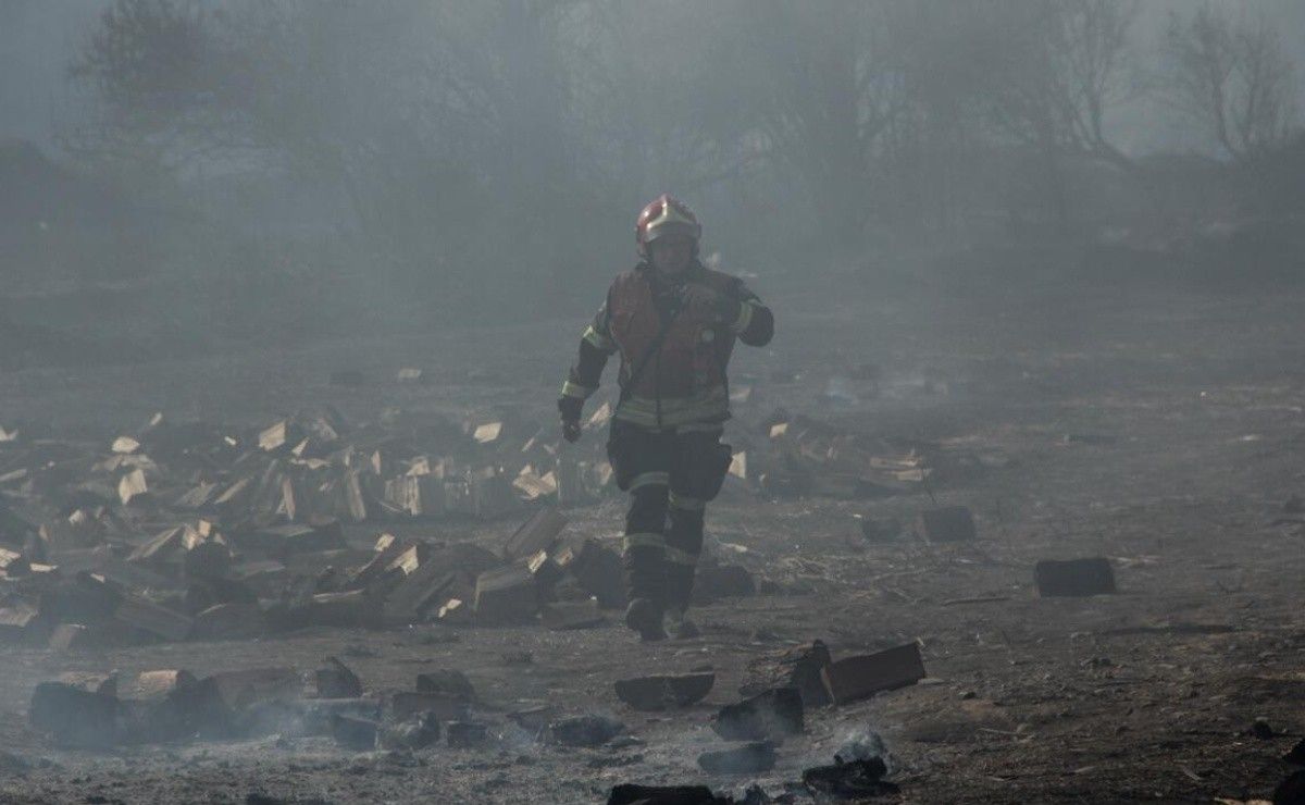 Celulosa Arauco: ¿Qué significa la Alerta Negra por incendio forestal ...