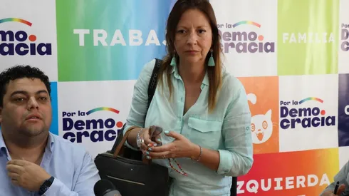 Se confirma que Gobierno irá con dos listas constituyentes